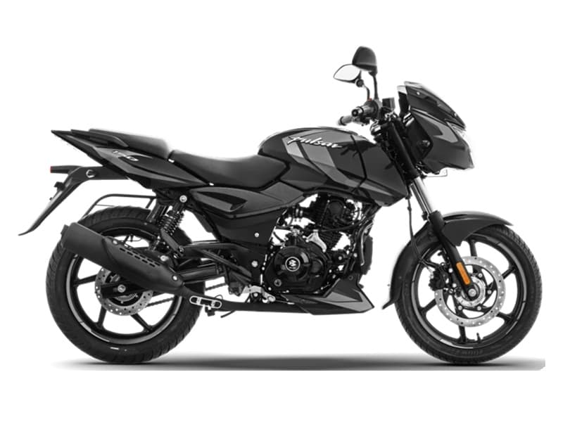 Pulsar 150 SD UG Black Copper Beige