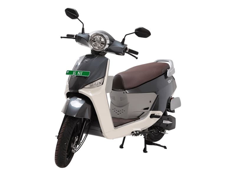 Terra Green Champagne Gold