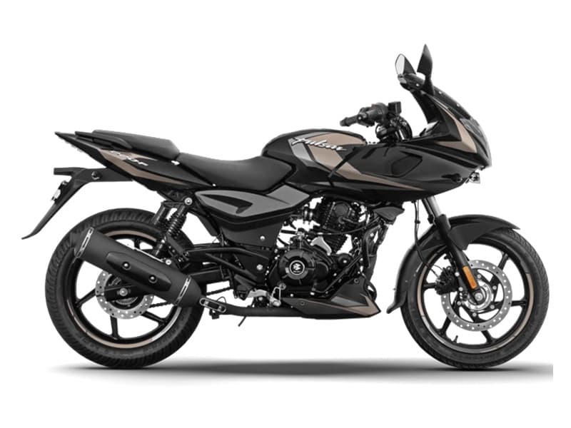 Pulsar 220F STD 2026 Black Copper Beige