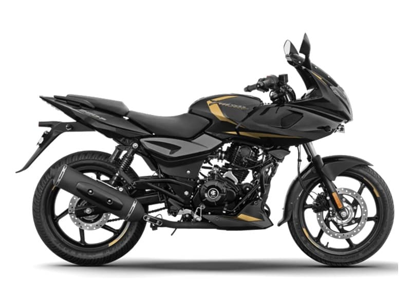 Pulsar 220F STD 2026 Black Gold
