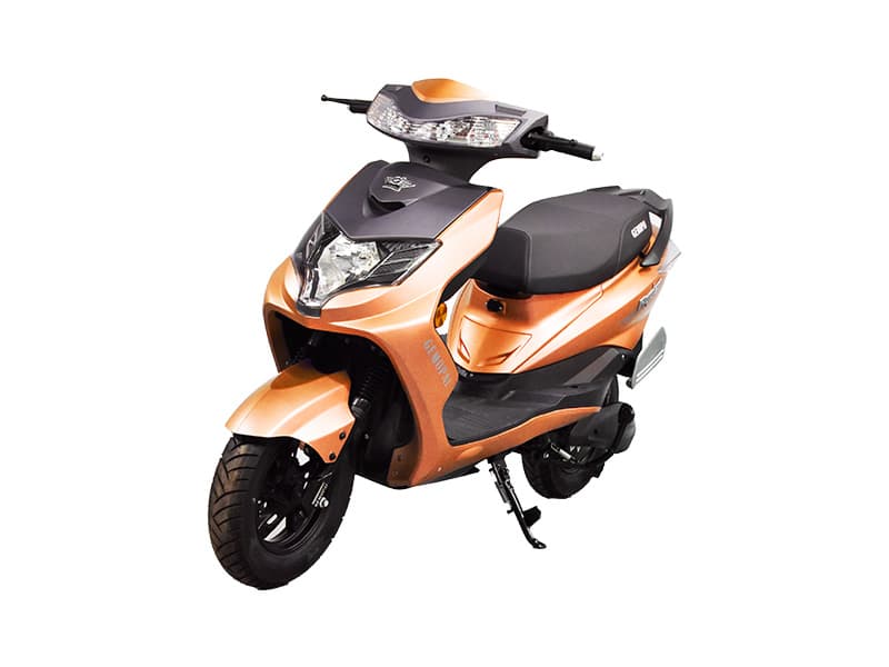 Ryder Std Ivory Gold