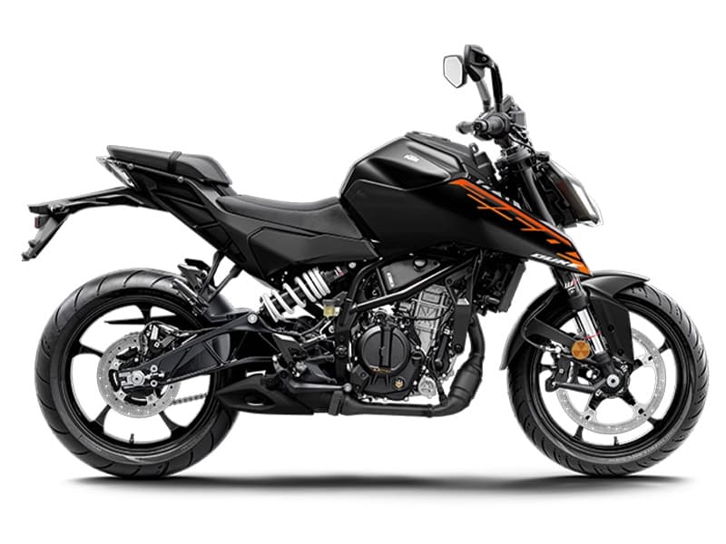 250 Duke Ebony Black