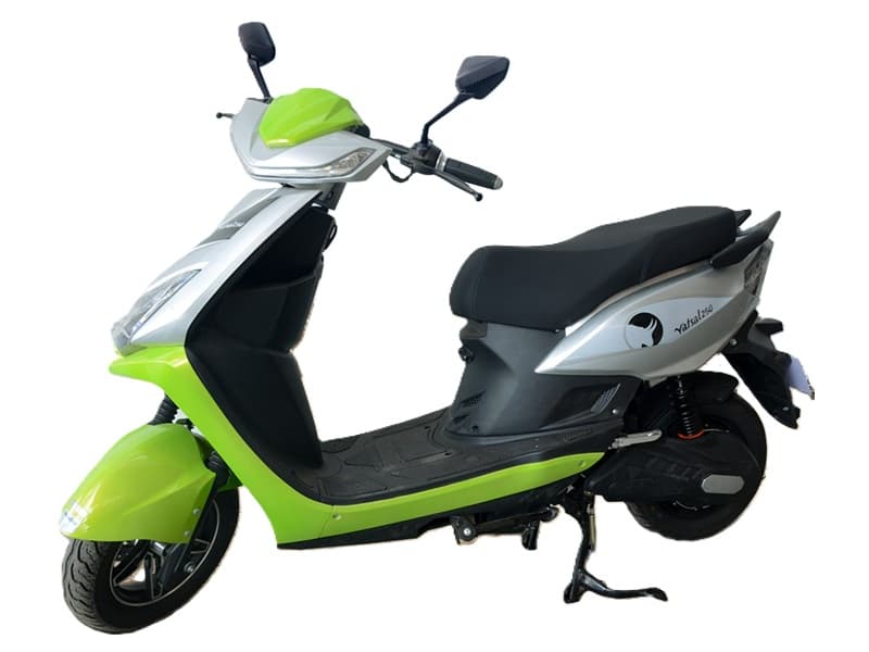 Vatsal250 Barberry Alto